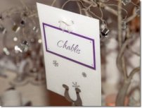 This was a winter wedding with a 'Cadburys purple' colour scheme. I used the violette shimmer card, white organza ribbon and snowflakes. 